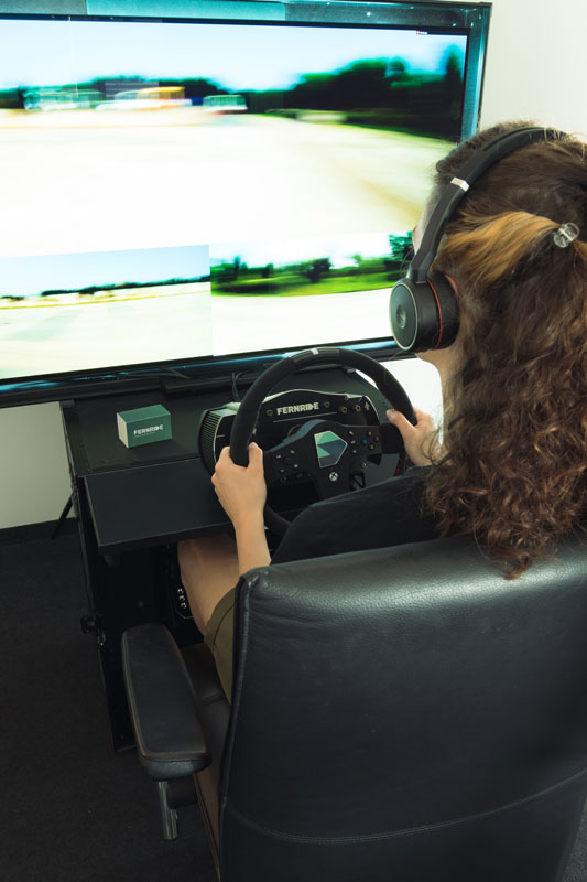 Fernride-cockpit-2-800pix.jpg